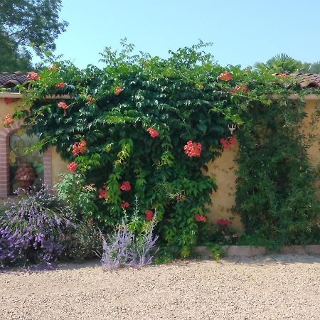 Albi A Proximite, Maison D'Hotes Les Oliviers Rosieres  Bagian luar foto