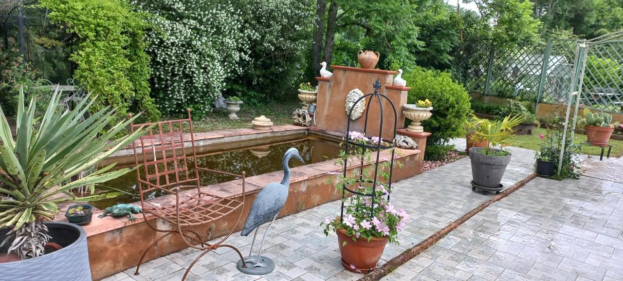 Albi A Proximite, Maison D'Hotes Les Oliviers Rosieres  Bagian luar foto