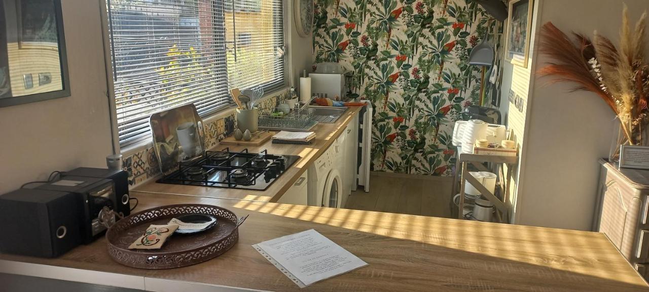 Albi A Proximite, Maison D'Hotes Les Oliviers Rosieres  Bagian luar foto